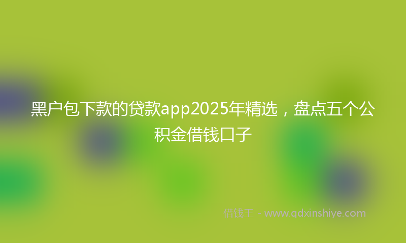 黑户包下款的贷款app2025年精选，盘点五个公积金借钱口子