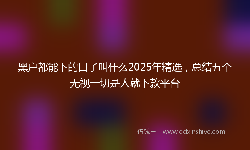 黑户都能下的口子叫什么2025年精选，总结五个无视一切是人就下款平台