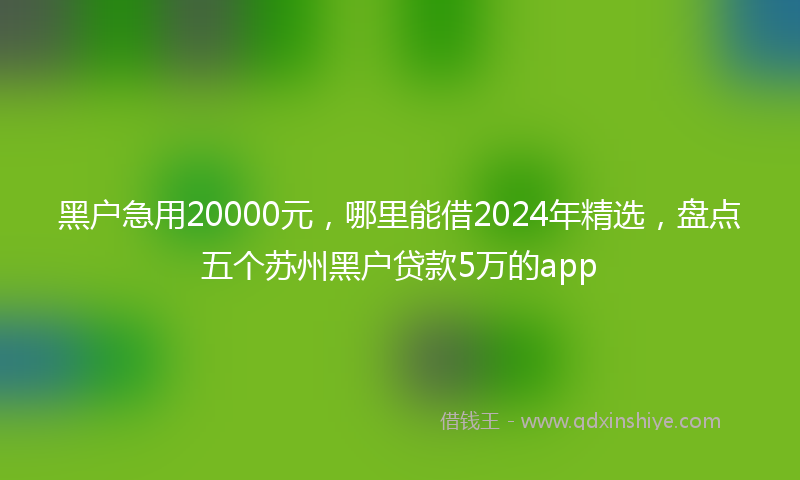 黑户急用20000元，哪里能借2024年精选，盘点五个苏州黑户贷款5万的app
