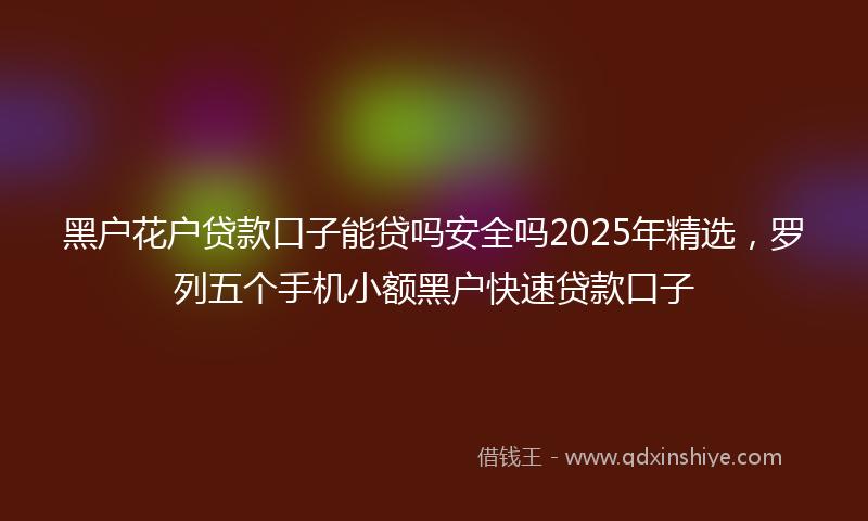 黑户花户贷款口子能贷吗安全吗2025年精选，罗列五个手机小额黑户快速贷款口子