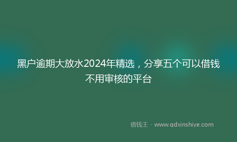 黑户逾期大放水2024年精选，分享五个可以借钱不用审核的平台