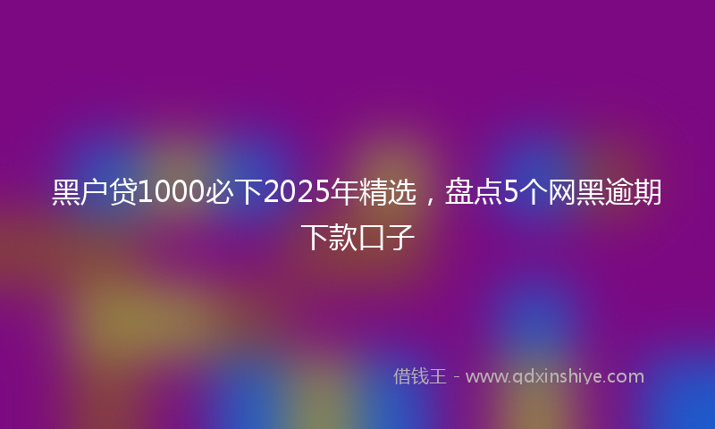 黑户贷1000必下2025年精选，盘点5个网黑逾期下款口子