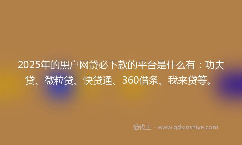 2025年的黑户网贷必下款的平台是什么有：功夫贷、微粒贷、快贷通、360借条、我来贷等。