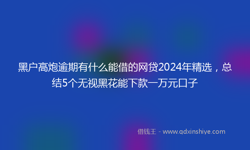 黑户高炮逾期有什么能借的网贷2024年精选，总结5个无视黑花能下款一万元口子