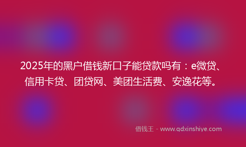 2025年的黑户借钱新口子能贷款吗有：e微贷、信用卡贷、团贷网、美团生活费、安逸花等。