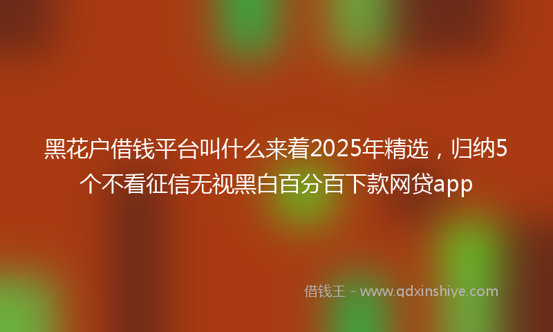 黑花户借钱平台叫什么来着2025年精选，归纳5个不看征信无视黑白百分百下款网贷app