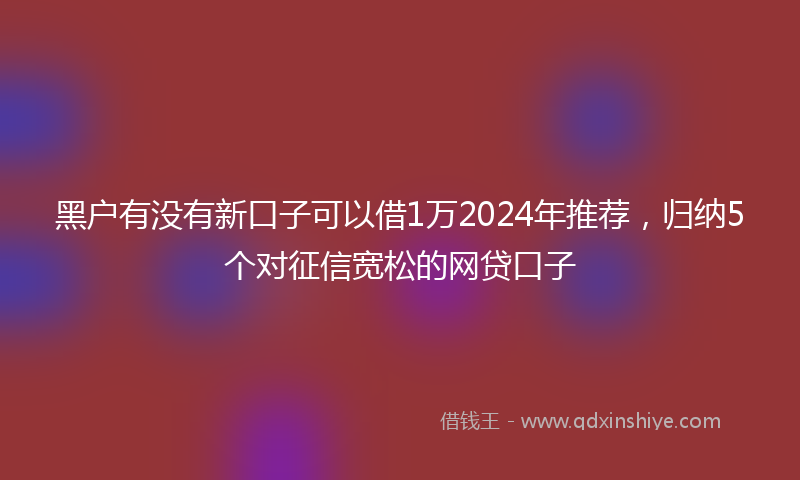 黑户有没有新口子可以借1万2024年推荐，归纳5个对征信宽松的网贷口子