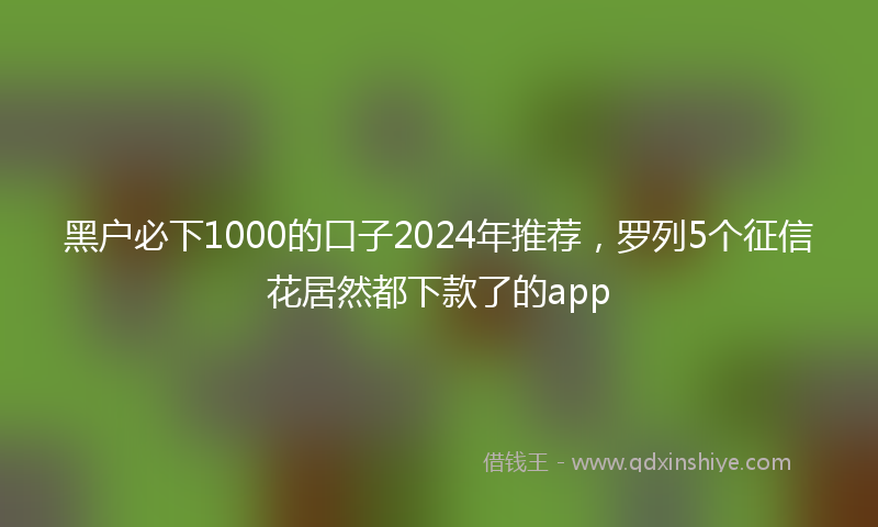 黑户必下1000的口子2024年推荐，罗列5个征信花居然都下款了的app