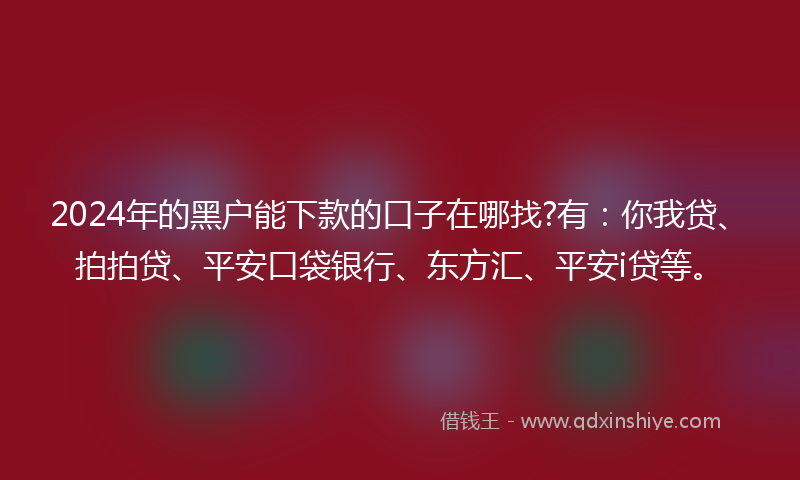 2024年的黑户能下款的口子在哪找?有：你我贷、拍拍贷、平安口袋银行、东方汇、平安i贷等。