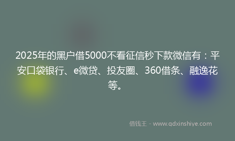 2025年的黑户借5000不看征信秒下款微信有：平安口袋银行、e微贷、投友圈、360借条、融逸花等。