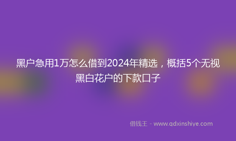 黑户急用1万怎么借到2024年精选，概括5个无视黑白花户的下款口子