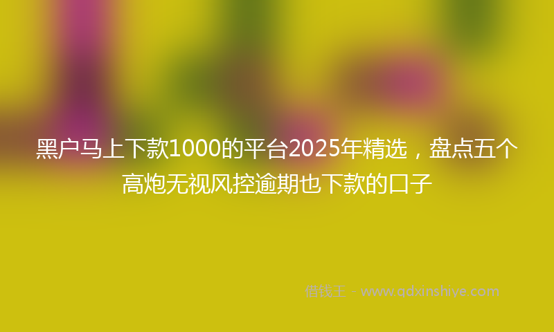 黑户马上下款1000的平台2025年精选，盘点五个高炮无视风控逾期也下款的口子
