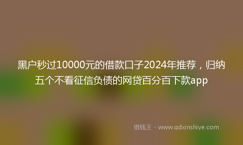 黑户秒过10000元的借款口子2024年推荐，归纳五个不看征信负债的网贷百分百下款app