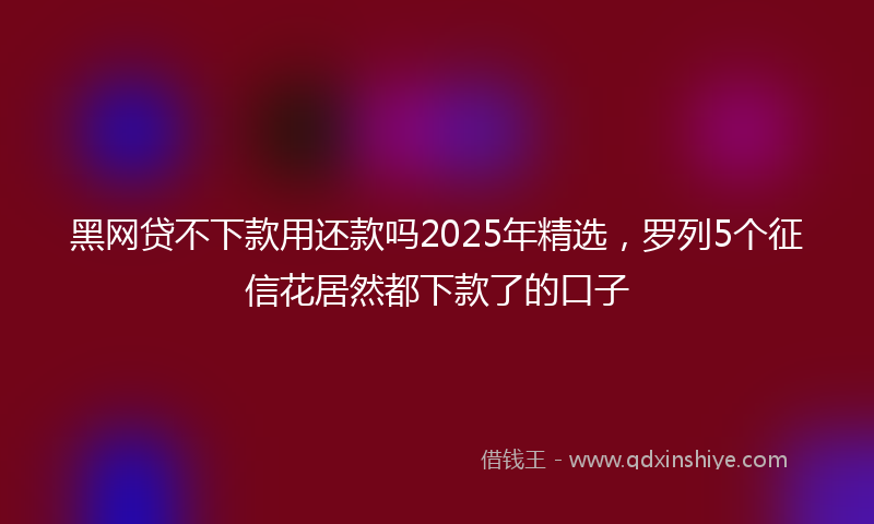 黑网贷不下款用还款吗2025年精选，罗列5个征信花居然都下款了的口子