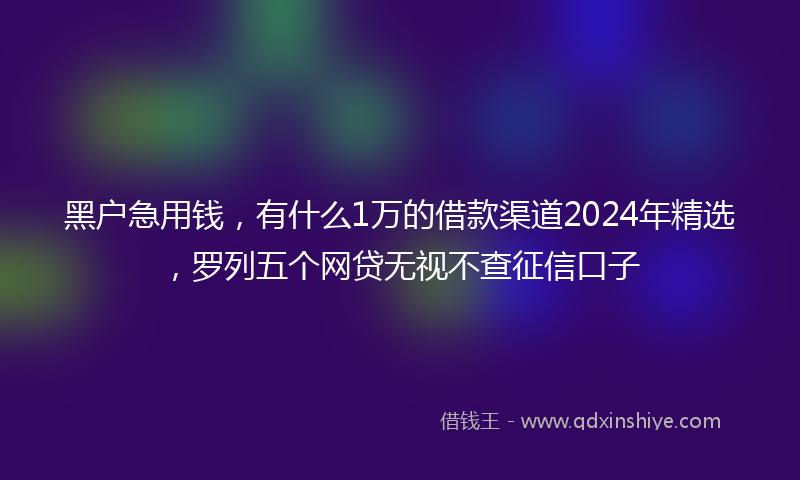 黑户急用钱，有什么1万的借款渠道2024年精选，罗列五个网贷无视不查征信口子
