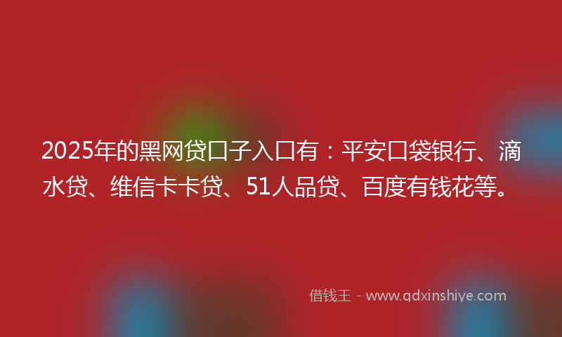 2025年的黑网贷口子入口有：平安口袋银行、滴水贷、维信卡卡贷、51人品贷、百度有钱花等。