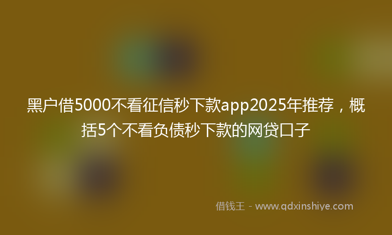 黑户借5000不看征信秒下款app2025年推荐，概括5个不看负债秒下款的网贷口子