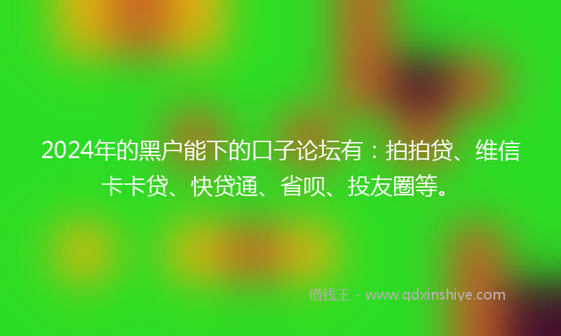 2024年的黑户能下的口子论坛有：拍拍贷、维信卡卡贷、快贷通、省呗、投友圈等。