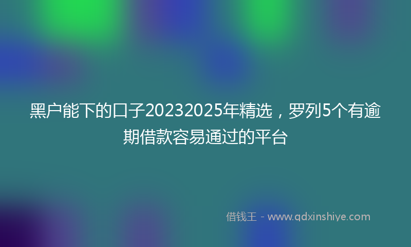 黑户能下的口子20232025年精选，罗列5个有逾期借款容易通过的平台
