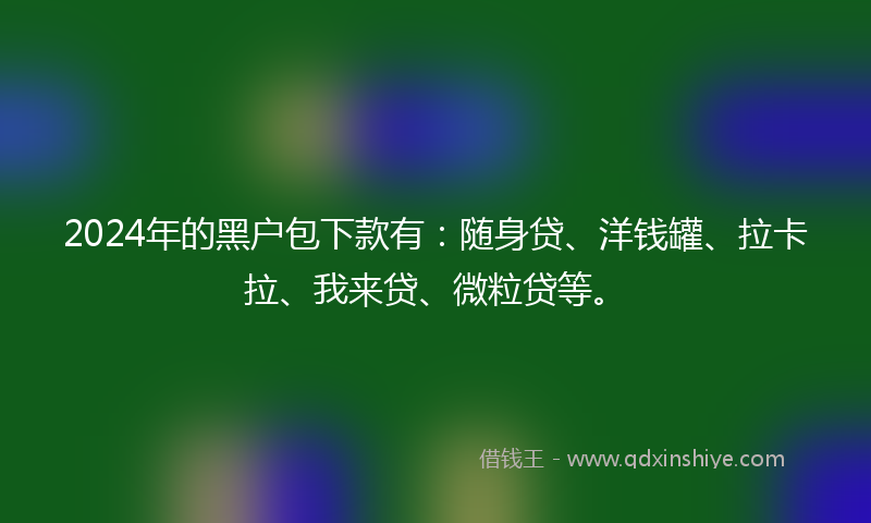 2024年的黑户包下款有：随身贷、洋钱罐、拉卡拉、我来贷、微粒贷等。