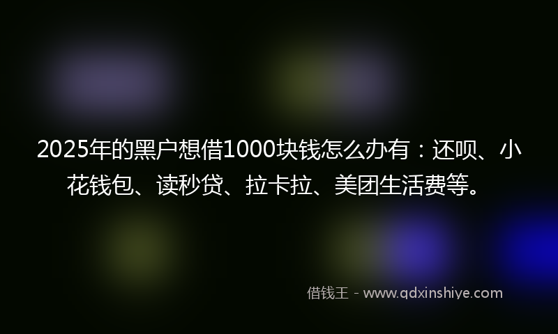 2025年的黑户想借1000块钱怎么办有：还呗、小花钱包、读秒贷、拉卡拉、美团生活费等。