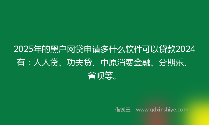 2025年的黑户网贷申请多什么软件可以贷款2024有：人人贷、功夫贷、中原消费金融、分期乐、省呗等。