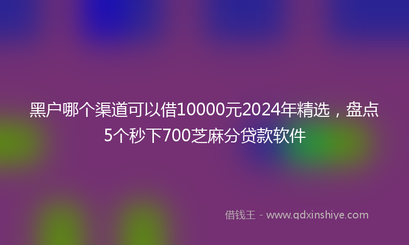 黑户哪个渠道可以借10000元2024年精选，盘点5个秒下700芝麻分贷款软件