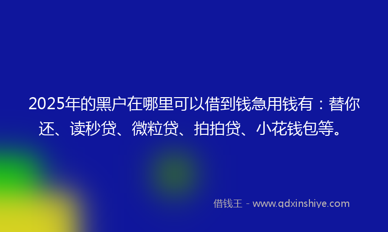 2025年的黑户在哪里可以借到钱急用钱有：替你还、读秒贷、微粒贷、拍拍贷、小花钱包等。
