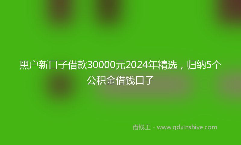 黑户新口子借款30000元2024年精选，归纳5个公积金借钱口子