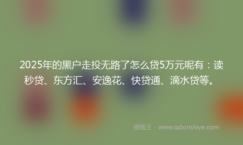 2025年的黑户走投无路了怎么贷5万元呢有：读秒贷、东方汇、安逸花、快贷通、滴水贷等。
