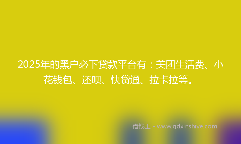 2025年的黑户必下贷款平台有：美团生活费、小花钱包、还呗、快贷通、拉卡拉等。