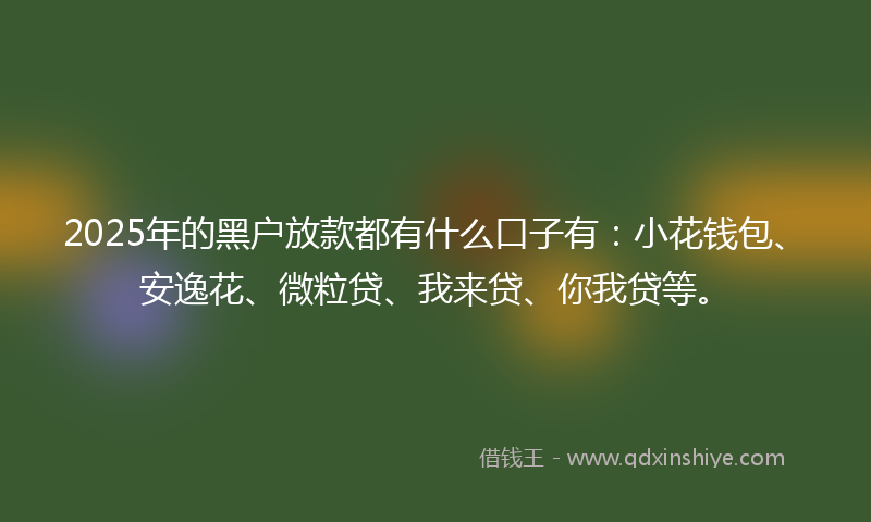 2025年的黑户放款都有什么口子有：小花钱包、安逸花、微粒贷、我来贷、你我贷等。