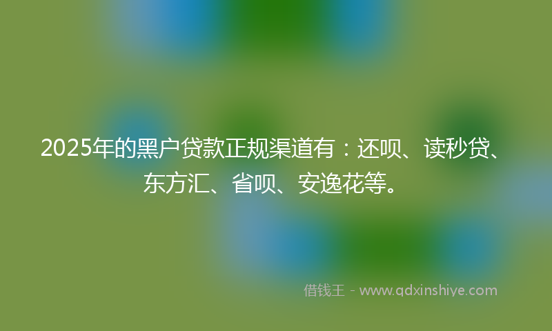 2025年的黑户贷款正规渠道有：还呗、读秒贷、东方汇、省呗、安逸花等。