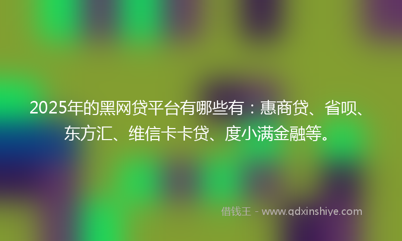 2025年的黑网贷平台有哪些有：惠商贷、省呗、东方汇、维信卡卡贷、度小满金融等。