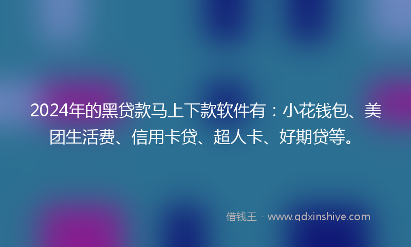 2024年的黑贷款马上下款软件有：小花钱包、美团生活费、信用卡贷、超人卡、好期贷等。