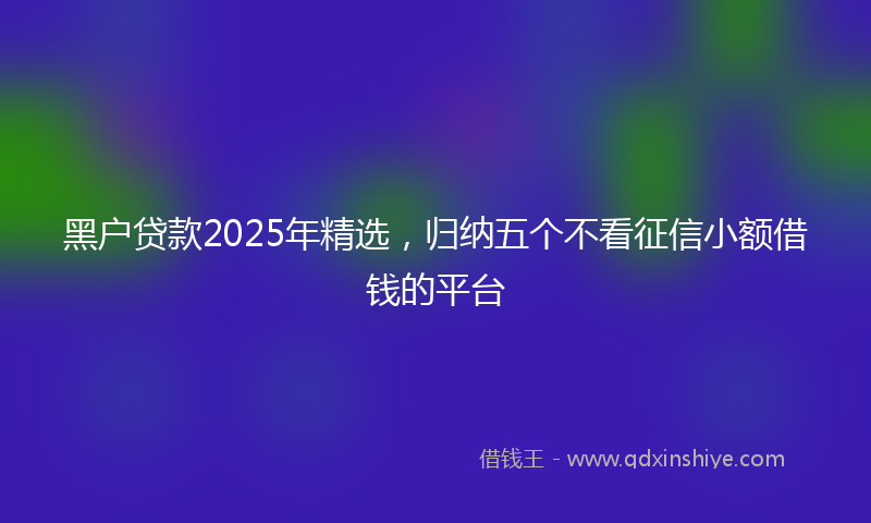 黑户贷款2025年精选，归纳五个不看征信小额借钱的平台