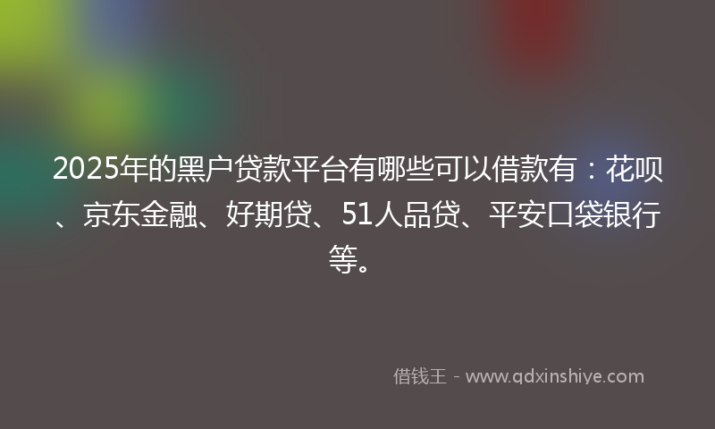 2025年的黑户贷款平台有哪些可以借款有：花呗、京东金融、好期贷、51人品贷、平安口袋银行等。