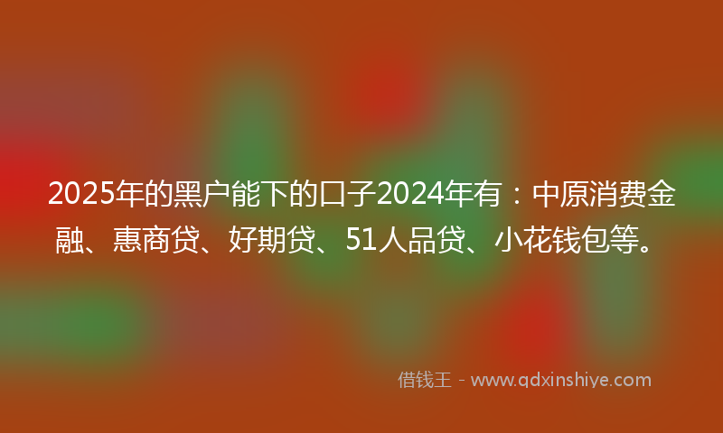 2025年的黑户能下的口子2024年有：中原消费金融、惠商贷、好期贷、51人品贷、小花钱包等。