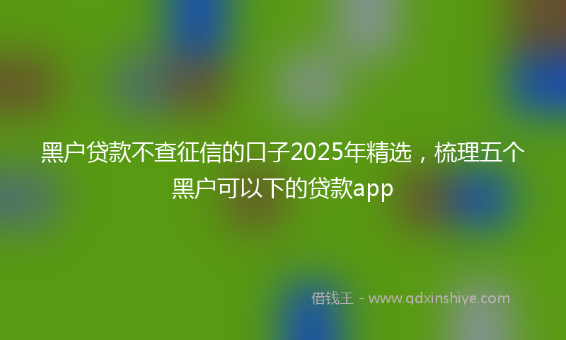 黑户贷款不查征信的口子2025年精选，梳理五个黑户可以下的贷款app