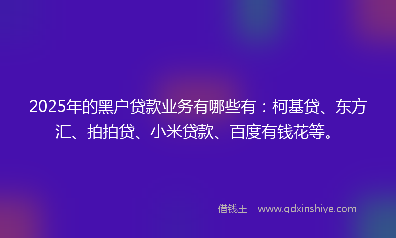 2025年的黑户贷款业务有哪些有：柯基贷、东方汇、拍拍贷、小米贷款、百度有钱花等。
