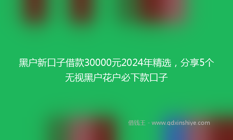 黑户新口子借款30000元2024年精选，分享5个无视黑户花户必下款口子