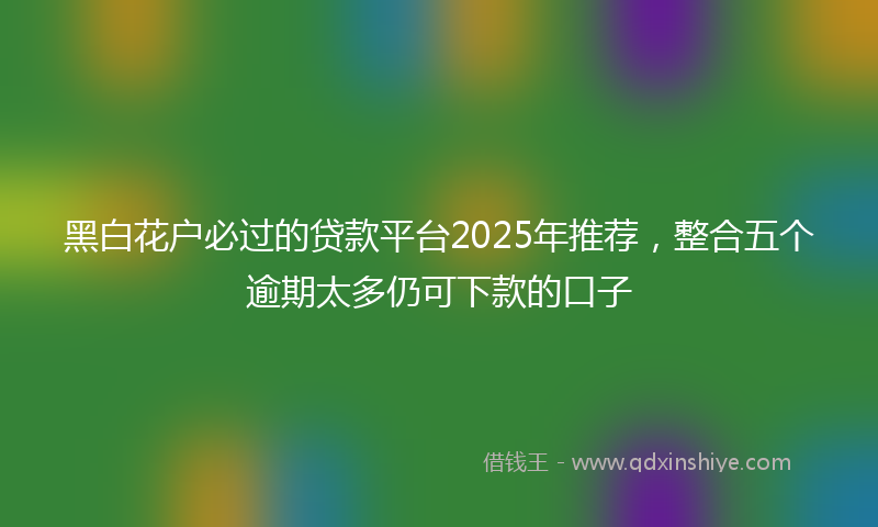 黑白花户必过的贷款平台2025年推荐，整合五个逾期太多仍可下款的口子