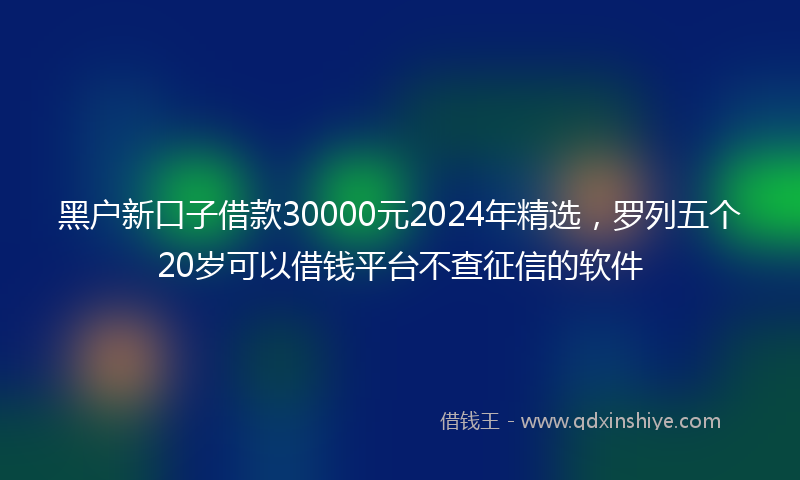 黑户新口子借款30000元2024年精选，罗列五个20岁可以借钱平台不查征信的软件