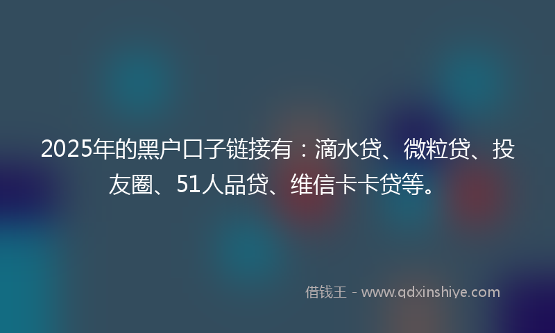2025年的黑户口子链接有：滴水贷、微粒贷、投友圈、51人品贷、维信卡卡贷等。