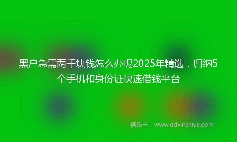 黑户急需两千块钱怎么办呢2025年精选，归纳5个手机和身份证快速借钱平台