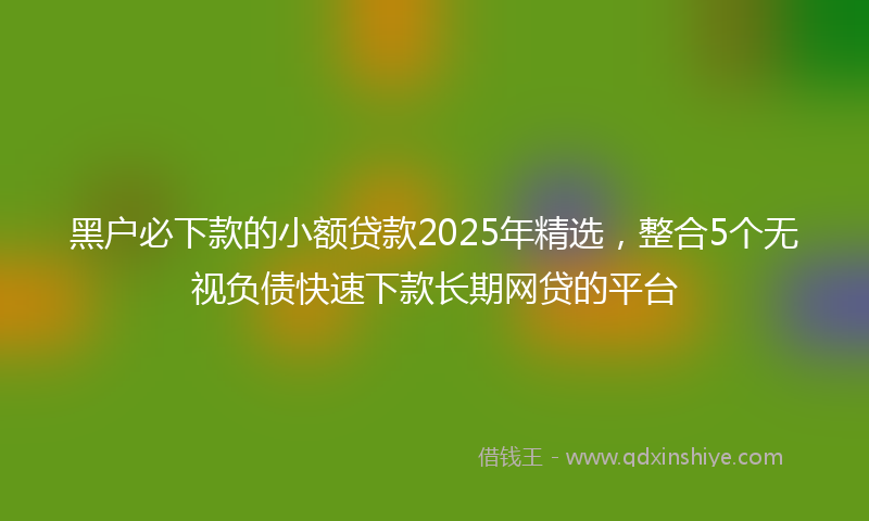 黑户必下款的小额贷款2025年精选，整合5个无视负债快速下款长期网贷的平台