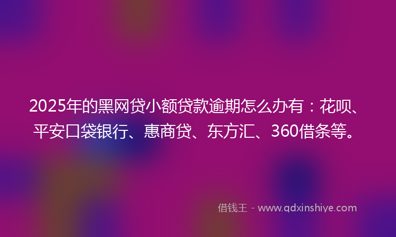 2025年的黑网贷小额贷款逾期怎么办有：花呗、平安口袋银行、惠商贷、东方汇、360借条等。