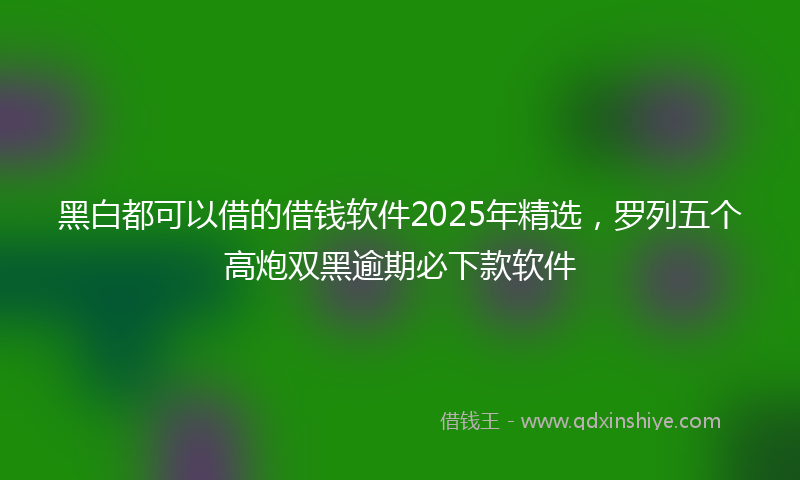 黑白都可以借的借钱软件2025年精选，罗列五个高炮双黑逾期必下款软件