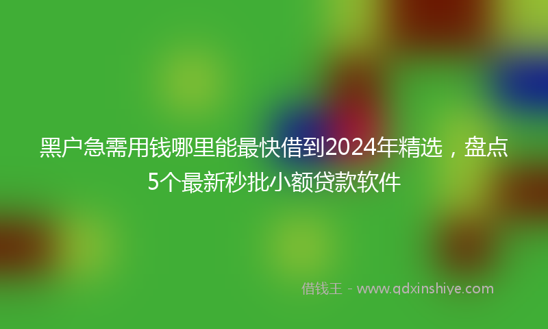 黑户急需用钱哪里能最快借到2024年精选，盘点5个最新秒批小额贷款软件