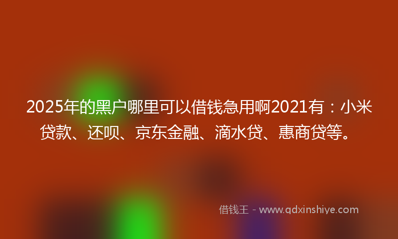 2025年的黑户哪里可以借钱急用啊2021有：小米贷款、还呗、京东金融、滴水贷、惠商贷等。